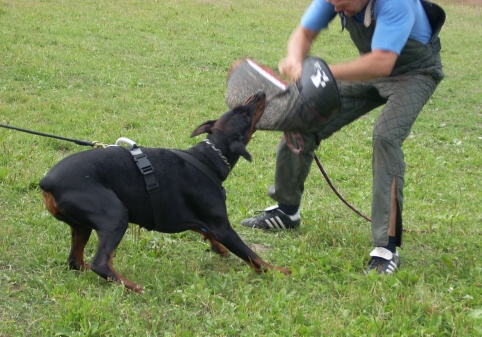 Training in Estonia 6/2007